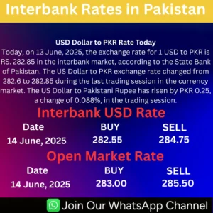 Read more about the article USD Dollar to PKR Rate Today – 14 June, 2025 | Dollar to Pakistani Rupee Exchange Rate